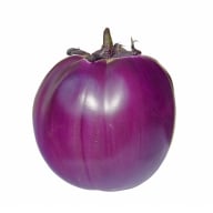 Melanzana Viola