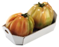 Pomodoro cuore di bue